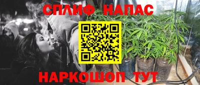 ГАЛЛЮЦИНОГЕННЫЕ ГРИБЫ Можга