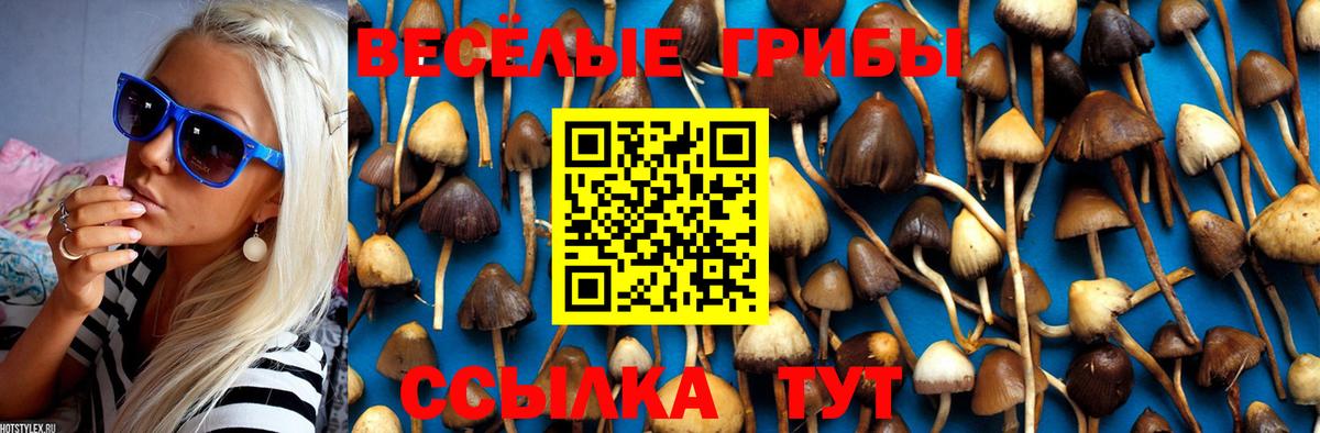 Галлюциногенные грибы MAGIC MUSHROOMS  Вход с VPN  Курган 